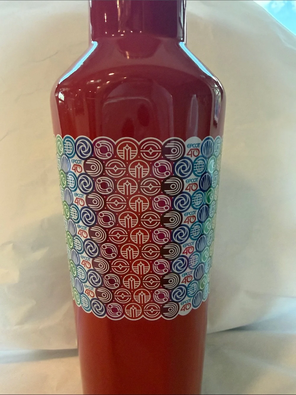 Disney corkcicle stainless